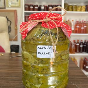 Asma Yaprağı Salamurası